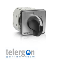 Telergon Dahlander Cam Switches