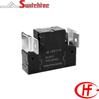 HFE17 Series - 2 Pole Normally Open/Normally Closed Relay 12.0W, 24.0W 200 Amp