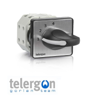 Telergon Multi-step Switches