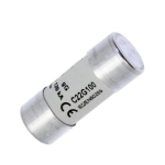 100A 22mm x 58mm FUSE LFN22G100
