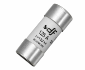 125A 22mm x 58mm FUSE LFN22G125