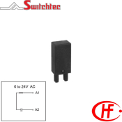 RC MODULE 6-24VDC