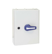 TELERGON ON-OFF SWITCH 80A 3P+N IP65 METAL ENCLOSURE