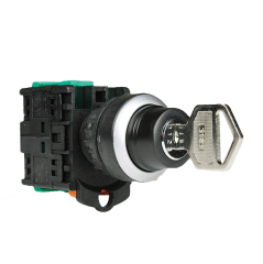 22mm Key Switches