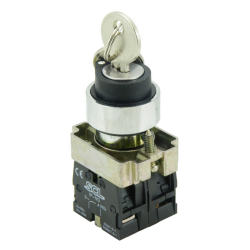 22mm Key Switches